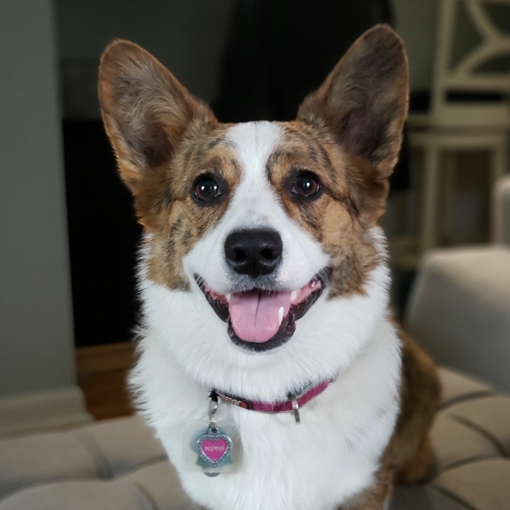 Meet your Posher, Heather